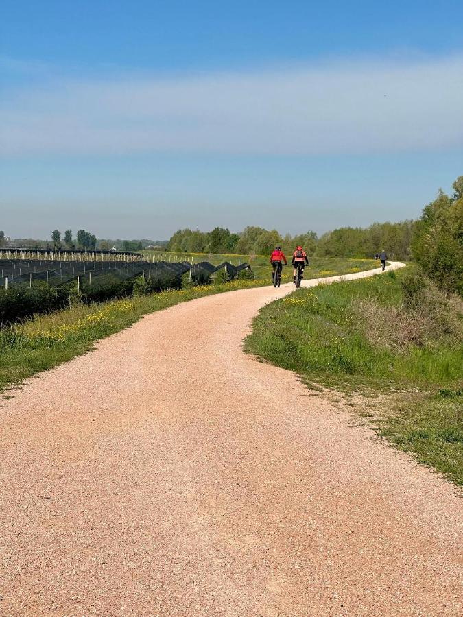 Sulla Ciclabile Apartment Lungo Il Fiume Adige Zevio Exterior foto